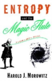Читать Entropy and the Magic Flute