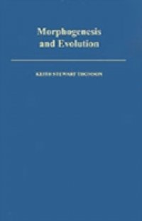 Morphogenesis and Evolution