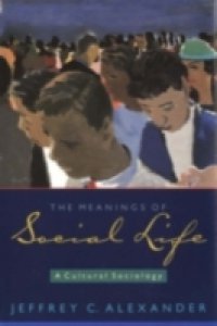 Meanings of Social Life: A Cultural Sociology