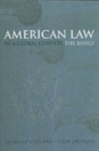 American Law in a Global Context: The Basics