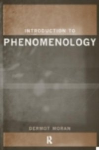 Introduction to Phenomenology
