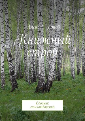 Книжный строй