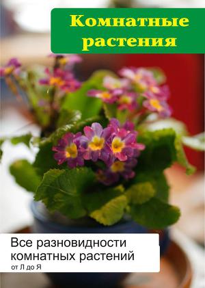 Читать Все разновидности комнатных растений (от Л до Я)