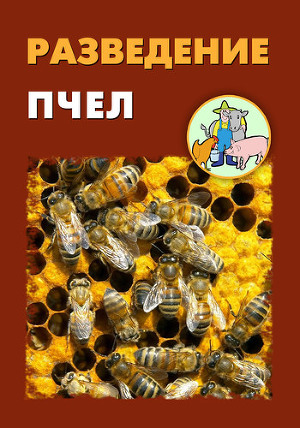 Читать Разведение пчел