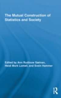 Mutual Construction of Statistics and Society
