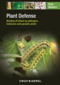 Sorghum and Millets Diseases