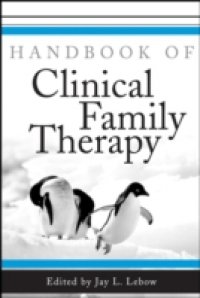 Handbook of Clinical Family Therapy
