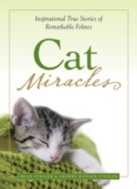 Читать Cat Miracles