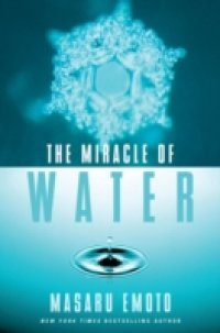 Читать Miracle of Water
