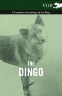 Читать Dingo – A Complete Anthology of the Dog -