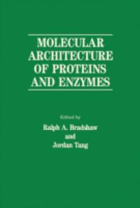 Molecular Architecture of Proteins and Enzymes