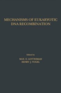 Mechanisms of Eukaryotic DNA Recombination