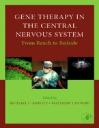 Gene Therapy of the Central Nervous System: From Bench to Bedside