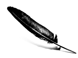 Под тенью черных крыльев