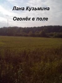 Огонёк в поле