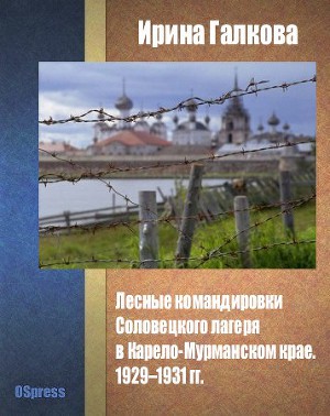 Читать Лесные командировки Соловецкого лагеря в Карело-Мурманском крае. 1929–1931 гг.