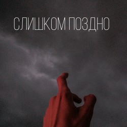 Читать Слишком поздно