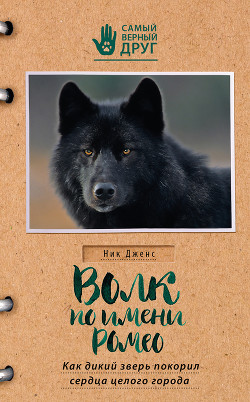 Читать Волк по имени Ромео. Как дикий зверь покорил сердца целого города