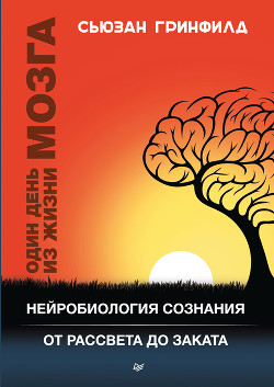 Читать Один день из жизни мозга. Нейробиология сознания от рассвета до заката