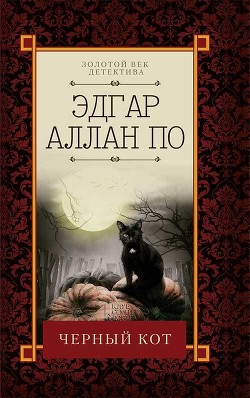 Читать Черный кот (сборник)