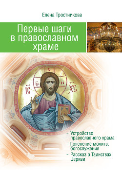 Читать Первые шаги в православном храме (двенадцать совместных путешествий)