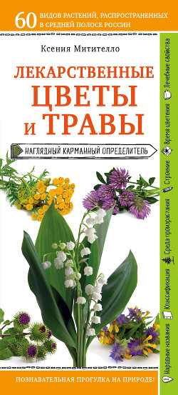 Читать Лекарственные растения и травы. Определитель трав русских лесов и полей