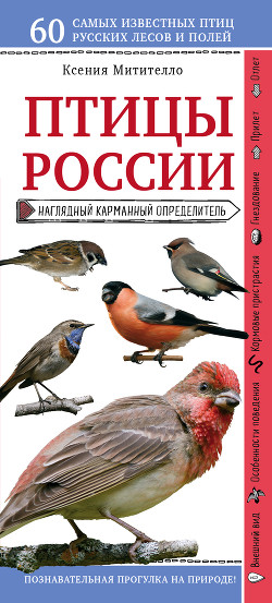 Читать Птицы России. Наглядный карманный определитель