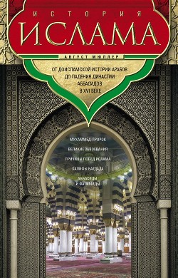 Читать История ислама. Т. 1, 2. От доисламской истории арабов до падения династии Аббасидов в XVI веке