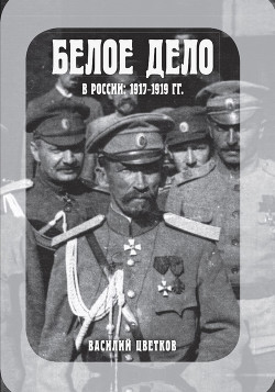 Читать Белое дело в России: 1917-1919 гг.
