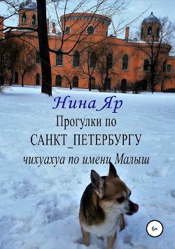 Читать Прогулки по Санкт-Петербургу