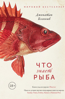 Читать Что знает рыба
