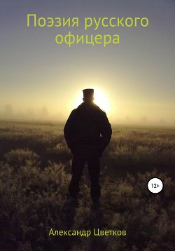 Читать Поэзия русского офицера