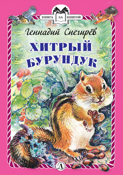 Хитрый бурундук