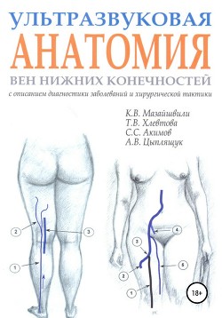 Читать Ультразвуковая анатомия вен нижних конечностей