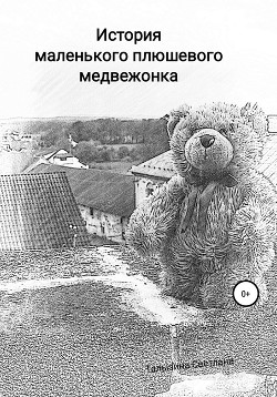 Читать История маленького плюшевого медвежонка