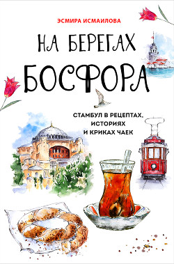 Читать На берегах Босфора. Стамбул в рецептах, историях и криках чаек