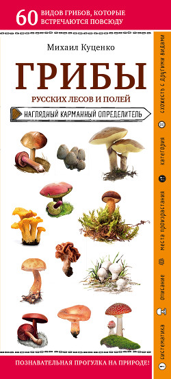 Читать Грибы русских лесов и полей