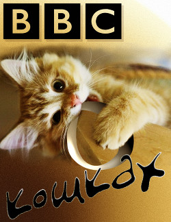 Би-Би-Си о кошках (сборник)