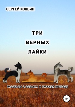 Читать Три верных лайки. Рассказы о собаках и русской природе
