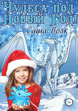 Читать Чудеса под новый год!