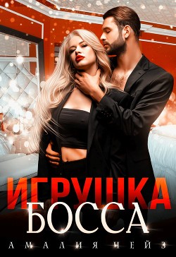 Читать Игрушка босса