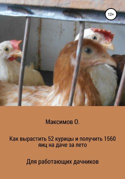 Читать Как вырастить 52 курицы и получить 1560 яиц на даче за лето. Для работающих дачников