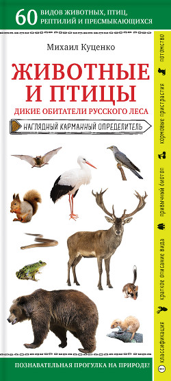 Читать Животные и птицы. Дикие обитатели русского леса