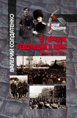 Читать В горниле революций и войн: Украина в 1917-1920 гг. историко-историографические эссе