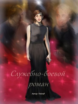 Служебно-боевой роман
