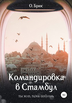 Читать Командировка в Стамбул