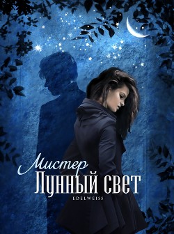 Мистер Лунный свет