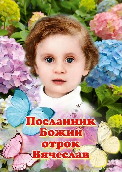 Читать Детская книга Посланник Божий отрок Вячеслав