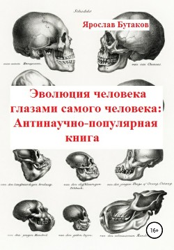 Читать Эволюция человека глазами самого человека: Антинаучно-популярная книга