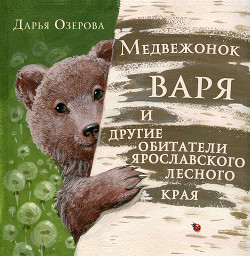 Читать Медвежонок Варя и другие обитатели ярославского лесного края
